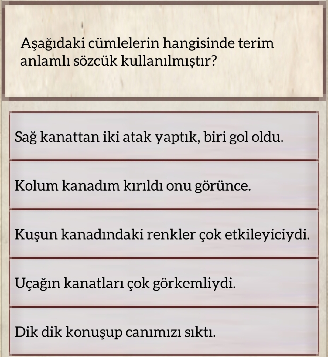 Soru Görseli